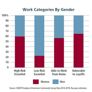 Bar graph showing work categories by gender in Minnesota