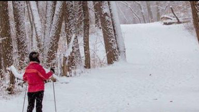 A person in a pink jacket skis along a snowy trail