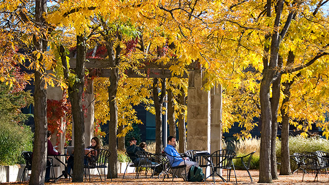 Students sit in a pavilion surrounded by yellow fall foliage