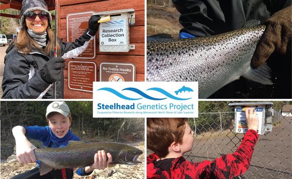 The Steelhead Genetics Project logo surrounded by images of people and fish